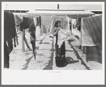 Wife of migratory worker hanging up laundry at the Agua Fria Migratory Labor Camp, Arizona