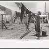 Wife of migratory worker hanging up laundry at the Agua Fria Migratory Labor Camp, Arizona