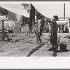 Wife of migratory worker hanging up laundry at the Agua Fria Migratory Labor Camp, Arizona