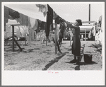 Wife of migratory worker hanging up laundry at the Agua Fria Migratory Labor Camp, Arizona