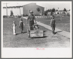 Worker mowing grass at the Agua Fria Migratory Labor Camp, Arizona