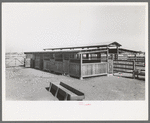 Dairy barn at Casa Grande Valley Farms, Pinal County, Arizona