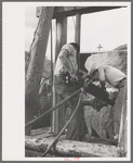 Miners in power drilling contest, Labor Day celebration, Silverton, Colorado