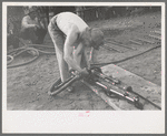 Miner attaching airhose to power drill which he will use in drilling contest, Labor Day celebration, Silverton, Colorado