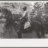 Sheepherder on his horse, Ouray County, Colorado