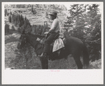 Sheepherder on his horse, Ouray County, Colorado