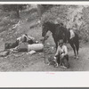 Sheepherder with his horse and camp outfit, Ouray County, Colorado