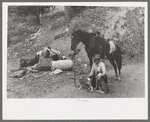 Sheepherder with his horse and camp outfit, Ouray County, Colorado