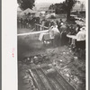 Barbecue pits and people standing in line to be served at the free barbecue at Labor Day, Ridgeway, Colorado