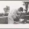 Slicing barbecue at the free barbecue on Labor Day at Ridgeway, Colorado