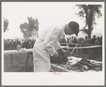 Slicing barbecue at the free barbecue on Labor Day at Ridgeway, Colorado