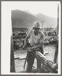 Gold miner operating hand drill in hand-drilling contest on Labor Day, Silverton, Colorado