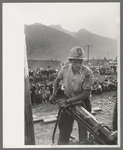 Gold miner operating hand drill in hand-drilling contest on Labor Day, Silverton, Colorado