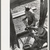 Team of two gold miners operating hand drill in contest on Labor Day, Silverton, Colorado