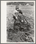 Farmer in Animas River Valley plowing, La Plata County, Colorado