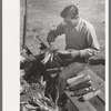 Farmer of Spanish extraction husking corn, Concho, Arizona