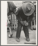 Mormon farmer shoeing a horse, Santa Clara, Utah