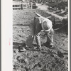 Construction worker at Shasta Dam, Shasta County, California