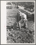 Construction worker at Shasta Dam, Shasta County, California