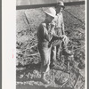 Construction workers at Shasta Dam, Shasta County, California