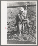 Construction workers at Shasta Dam, Shasta County, California