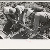 Construction at Shasta Dam, Shasta County, California