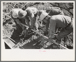 Construction at Shasta Dam, Shasta County, California