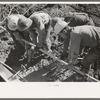 Construction at Shasta Dam, Shasta County, California