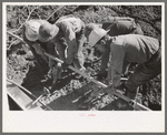 Construction at Shasta Dam, Shasta County, California