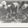 Construction at Shasta Dam, Shasta County, California