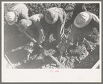 Construction at Shasta Dam, Shasta County, California