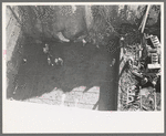 Working on construction of Shasta Dam, Shasta County, California