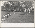 Children of construction workers at Shasta Dam watching High School horse [perform] at Summit City, California