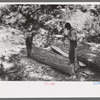 Splitting log which will be cut with broadaxe into ties, Pie Town, New Mexico