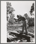 Chipping off the slab before log is finished with broadaxe into a tie, Pie Town, New Mexico