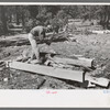 Hewing out a tie with broadaxe, Pie Town, New Mexico