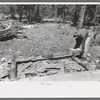 Putting log into place before hewing into tie, Pie Town, New Mexico