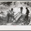 Splitting log, tie-cutting camp, Pie Town, New Mexico