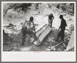 Splitting log, tie-cutting camp, Pie Town, New Mexico