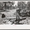 Hewing out a tie with a broadaxe, Pie Town, New Mexico