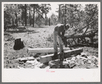 Hewing out a tie with a broadaxe, Pie Town, New Mexico