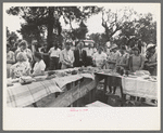 The blessing at dinner at the grounds at the all day community sing, Pie Town, New Mexico