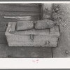 Samples of ore and box containing samples of milled tailing solutions which are sent to Silver City, Mogollon, New Mexico