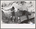 Tie workers driving steel wedges into a pine log to split it, Pie Town, New Mexico
