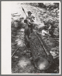 Tie cutter removing slab from pine log which will be hewn into ties, Pie Town, New Mexico