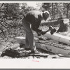 Using a broad axe in hewing ties, Pie Town, New Mexico