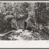 Temporary home of tie hewer, Pie Town, New Mexico