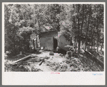 Temporary home of tie hewer, Pie Town, New Mexico