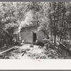 Temporary home of tie cutters, Pie Town, New Mexico