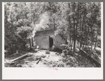 Temporary home of tie cutters, Pie Town, New Mexico